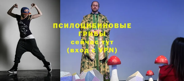 дмт Баксан